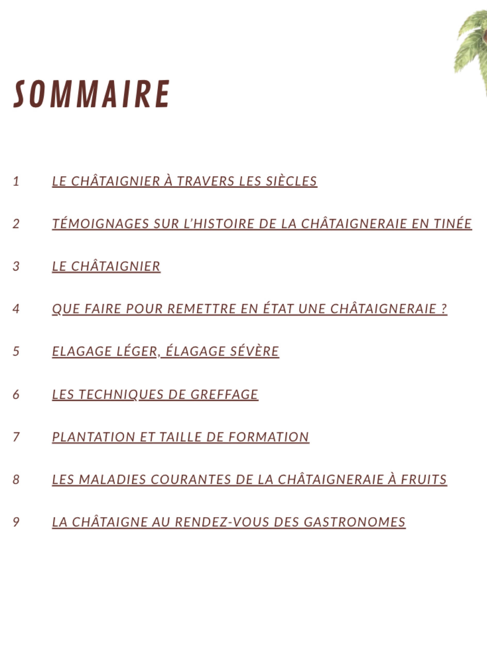 rénover les châtaigneraies livret fiches tech2